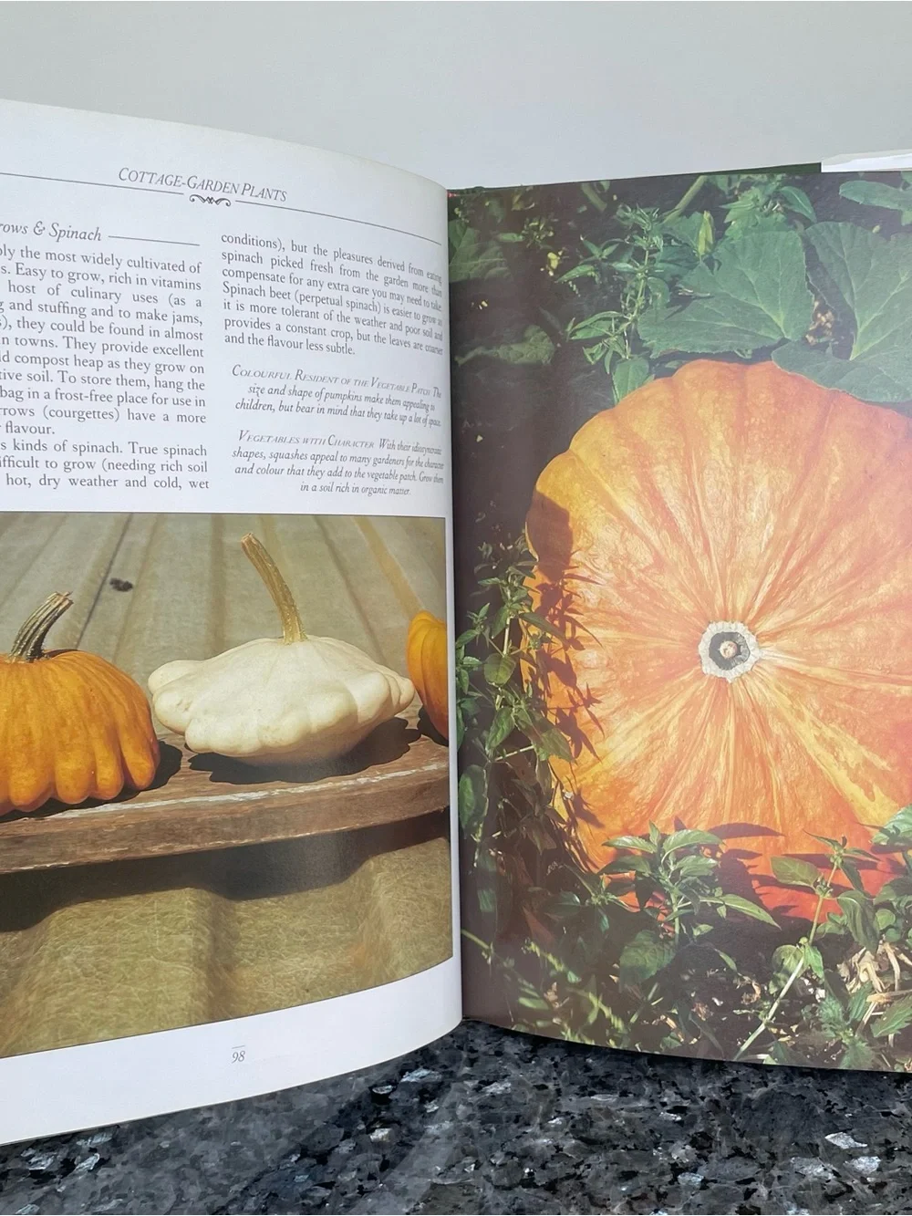 The Cottage Garden By Christopher Lloyd & Richard Bird, Hard Cover Book